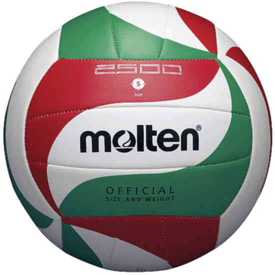 Волейбольний м'яч Molten V5M2500 +подарунок