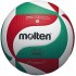 Волейбольний м'яч Molten V5M5000