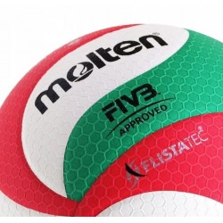 Волейбольний м'яч Molten V5M5000