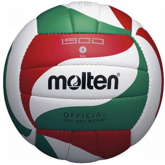 Волейбольний м'яч Molten V5M1900 +подарунок
