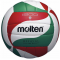 Волейбольний м'яч Molten V5M1900 +подарунок Волейбольний м'яч Molten V5M1900 +подарунок